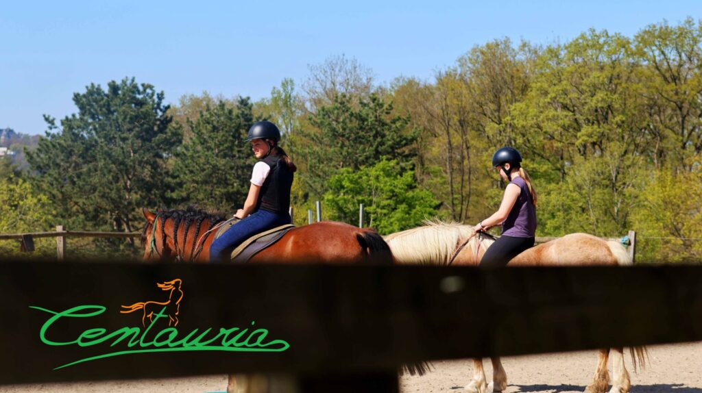 Centauria 3 Miniature centauria officielle