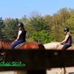 Centauria 3 Miniature centauria officielle