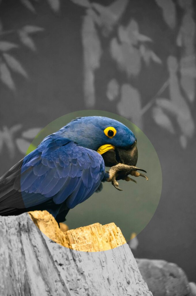 Contact 1 Spixara agence contact