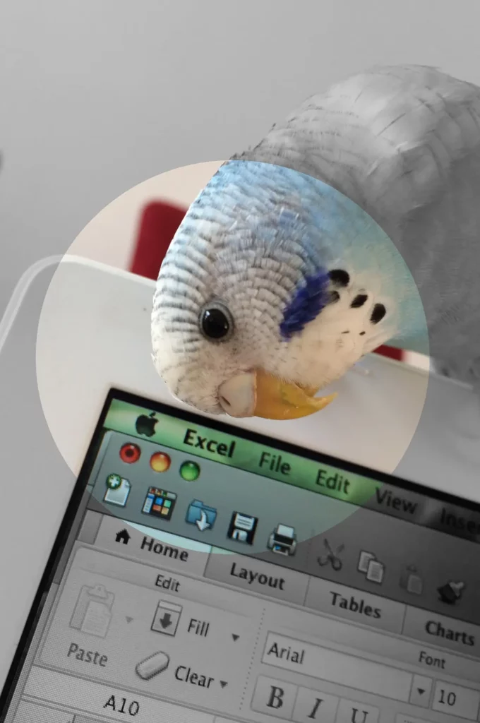 Créez votre espace numérique robuste en ligne Image illustrant la présentation des services de "Workspace numérique" de l'entreprise Spixara. Que ça soit pour une migration ou une création de workspace.