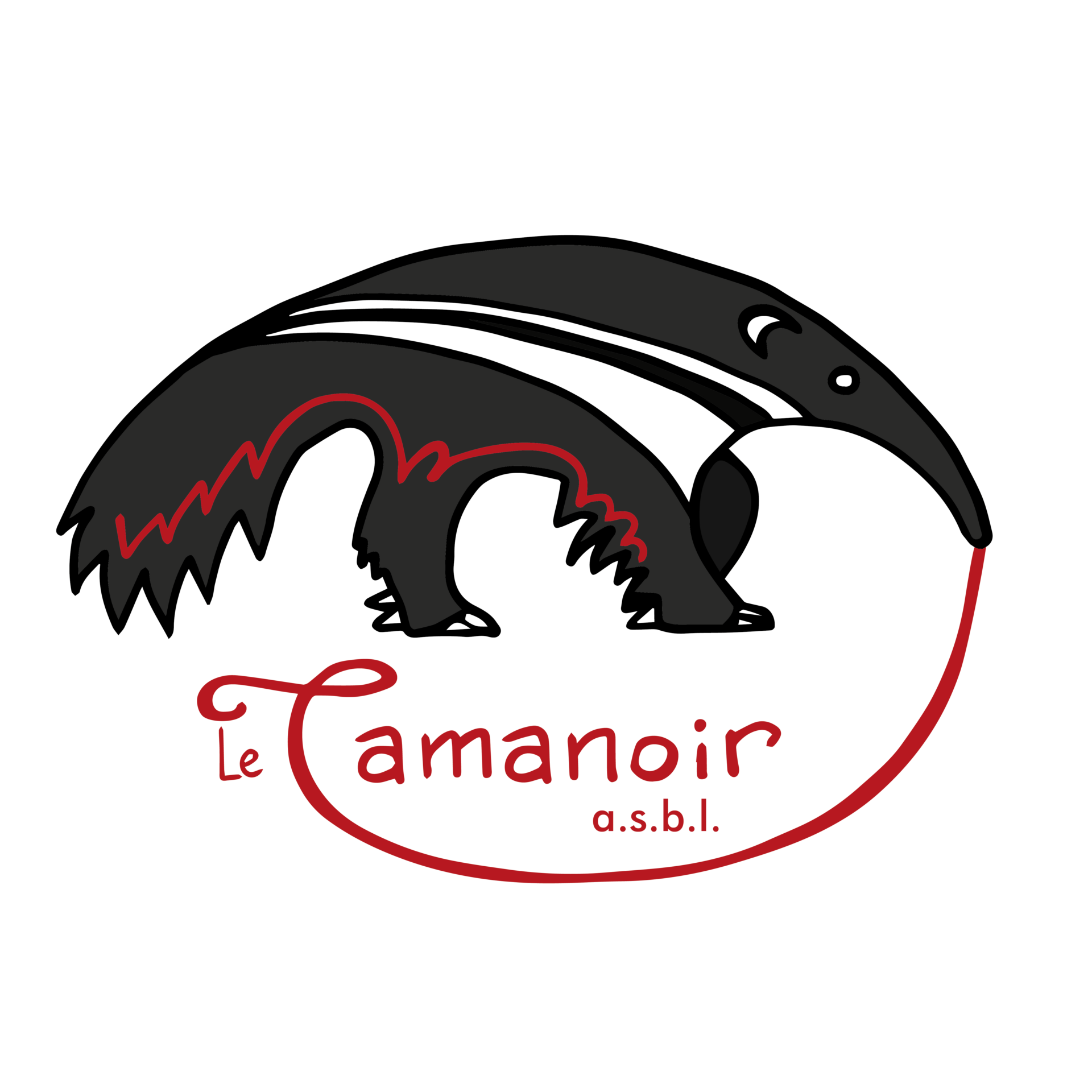 Accueil 10 Tamanoir logo site