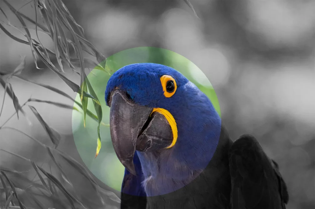 Spixara, fondée en 2023 Spixara a été fondé en 2023 suite à l'inquiétude grandissante des entreprises face aux impacts du numérique sur le climat. Spixara vise à réduire cet impact en proposant des solutions numériques adaptées.