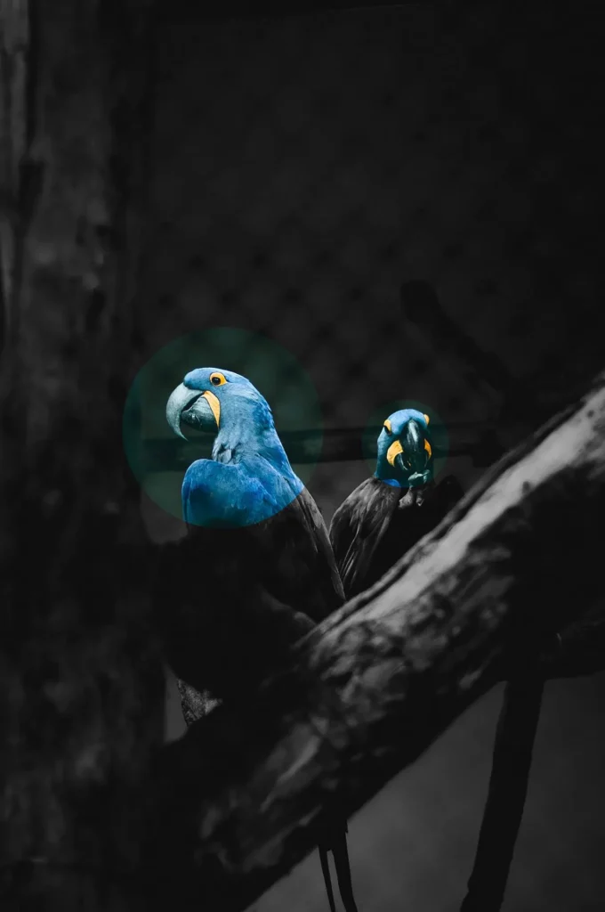 Accompagnement communication 1 Chez Spixara, nous ne faisons pas juste du “contenu”, nous créons votre stratégie de communication, avec des visuels percutants, des vidéos engageantes, et des textes qui parlent à votre audience. Nous vous accompagnons chaque jour pour vous permettre d’être visible sans pour autant publier sans modération.