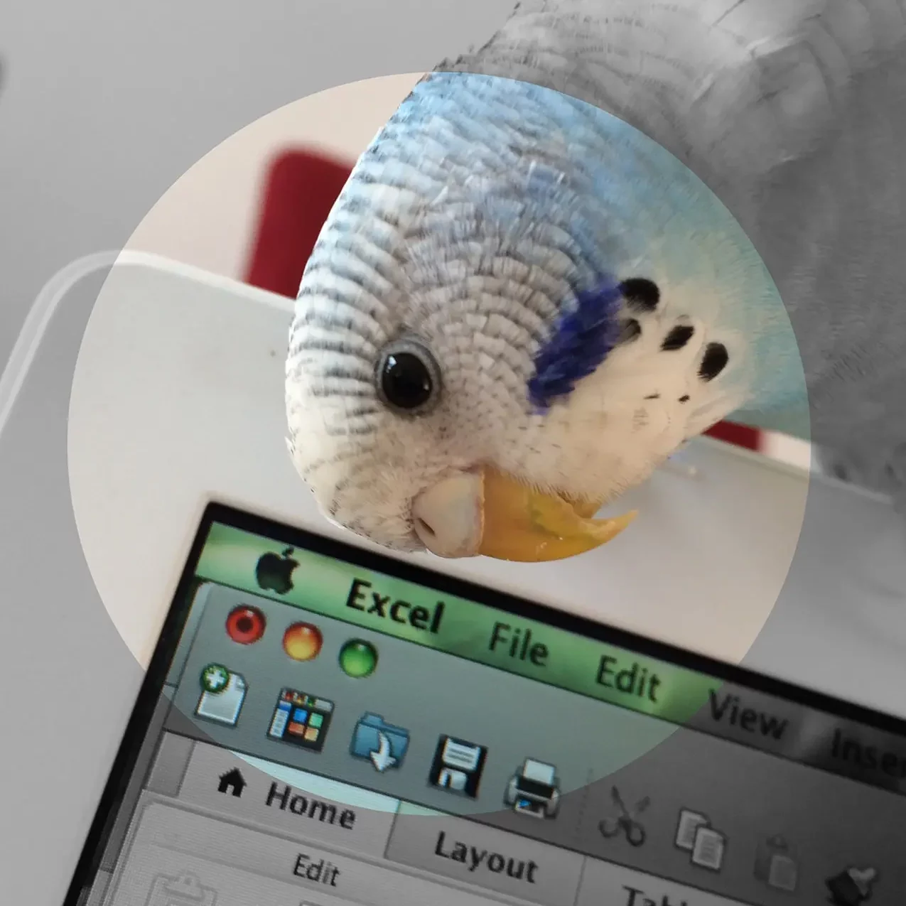 Services 2 Image illustrant la présentation des services de "Workspace numérique" de l'entreprise Spixara. Que ça soit pour une migration ou une création de workspace.