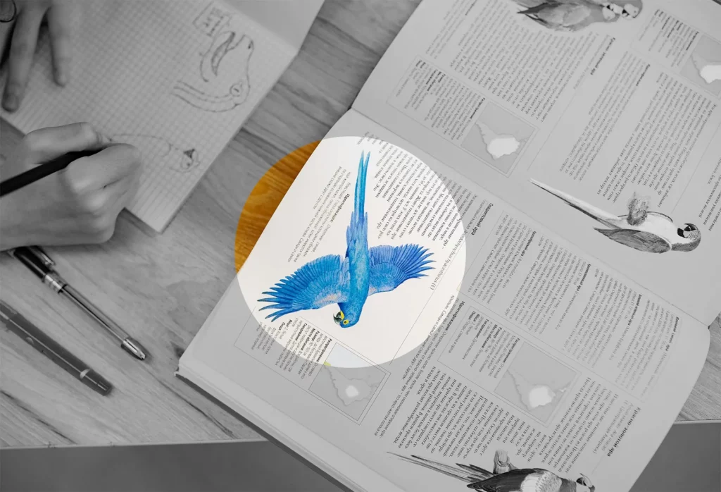 Identité visuelle 3 Outils libres ? Qu'est ce que ça veut dire ?