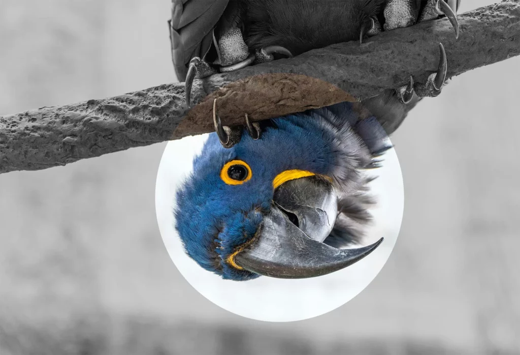 Nous ne faisons pas juste du numérique. Nous aidons les gens à être présent en ligne, à avoir une image qui leur ressemble tout en ayant un impact réduit sur le monde vivant.