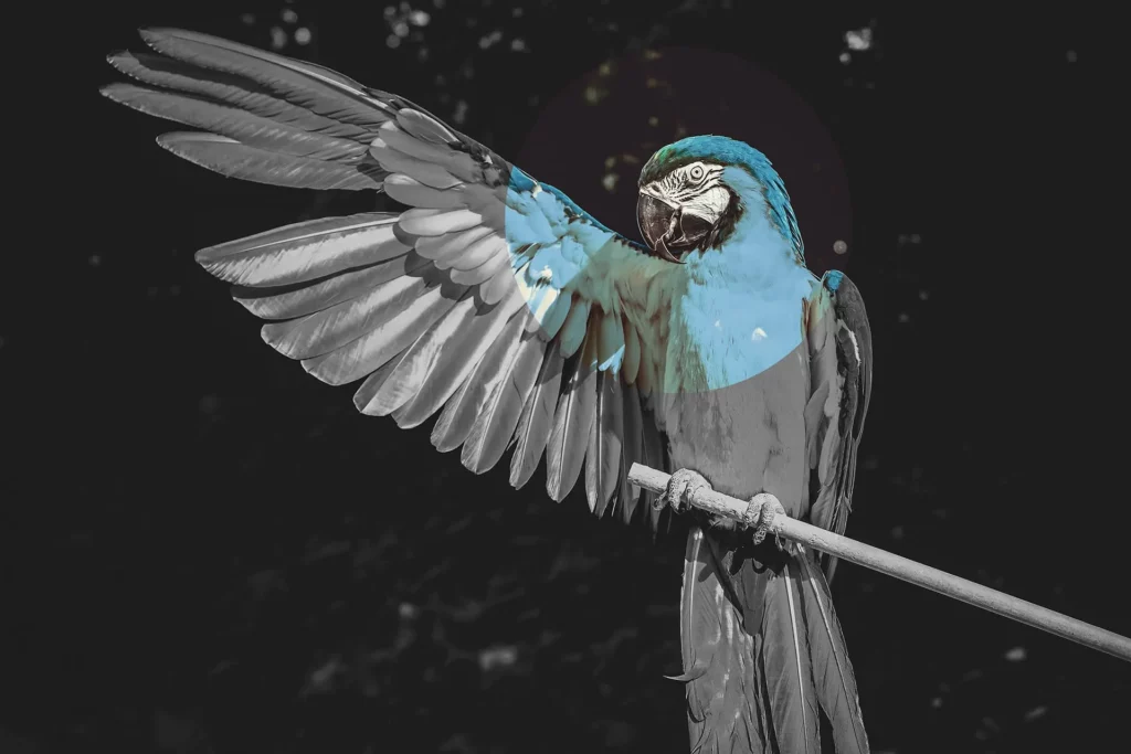 On ne vous vend pas un service. On vous rend libre.
Vos emails, vos fichiers, votre site web : vous en avez l’accès complet, sans rétention, sans dépendance. Pas de GAFAM. Pas de black box. Pas de “c’est comme ça, c’est le système”.
On vous accompagne pour que vous maîtrisiez votre numérique, sans jargon, sans peur. Parce que votre liberté numérique, c’est votre liberté tout court.