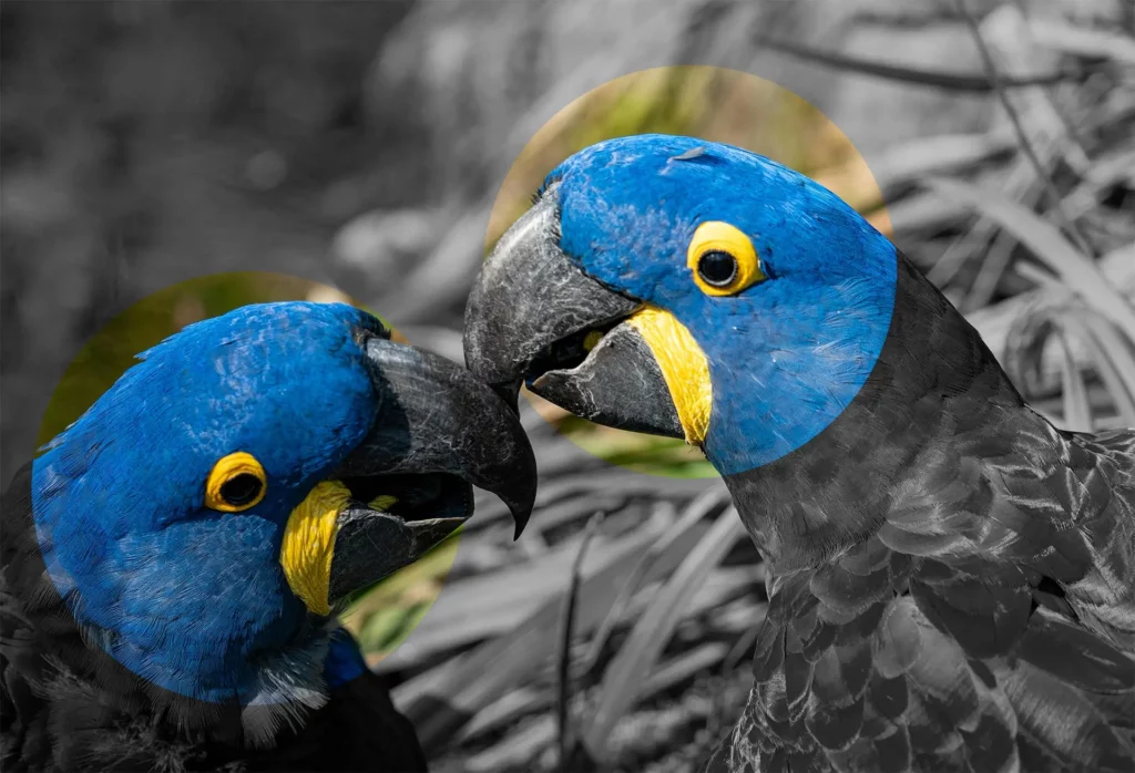 Spixara est accrochée à ses valeurs écologiques, sociales et résilientes. Ces valeurs sont respectées durant toutes les étapes d'un accompagnement.