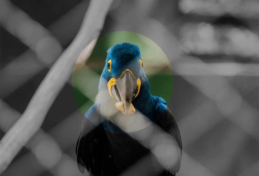 Écologique ? Vraiment ?