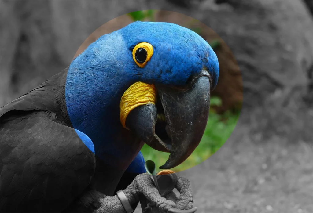 Pourquoi choisir un site éco-responsable ?