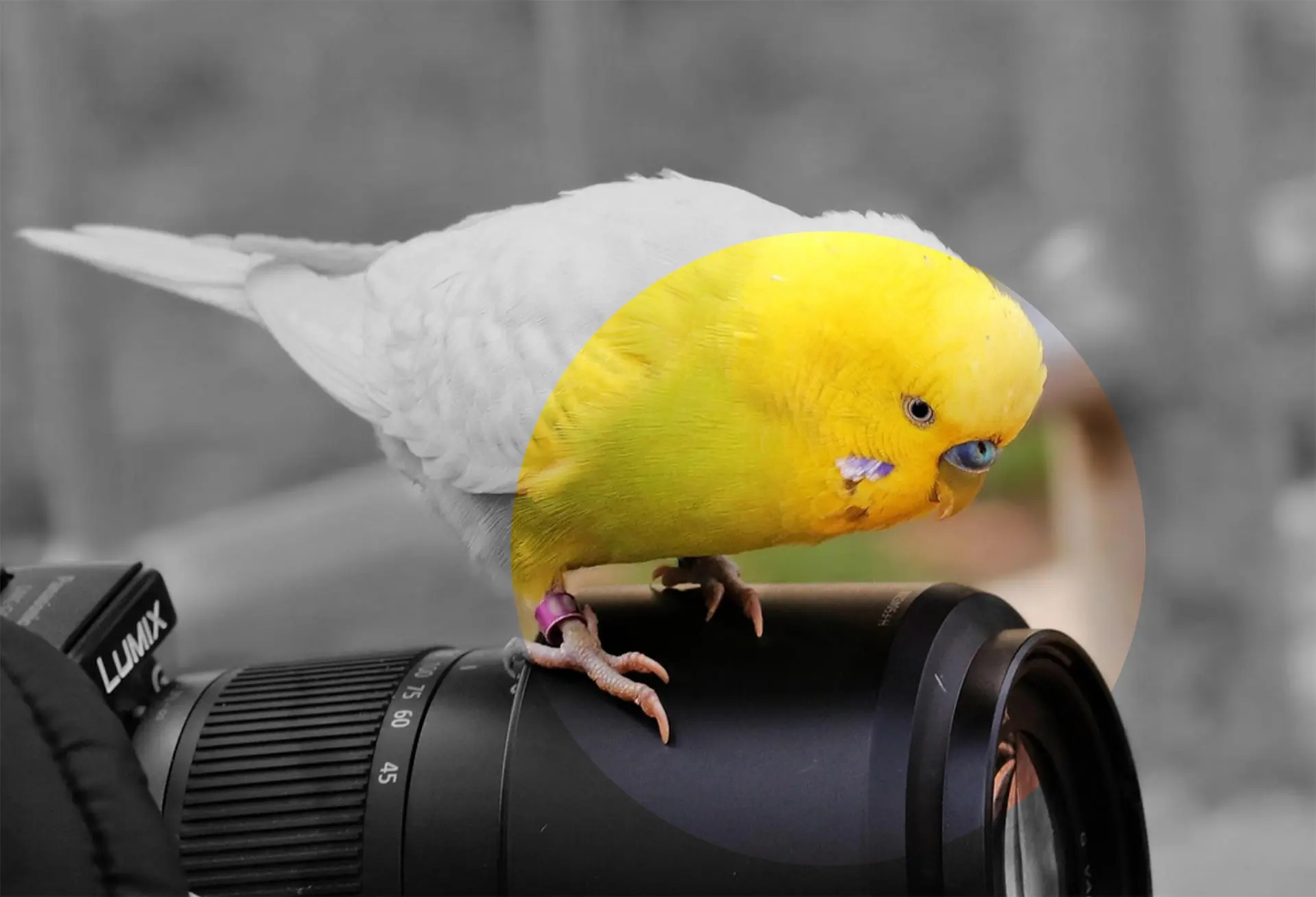 Accompagnement communication 6 La stratégie de contenu n’est pas un calendrier c’est un plan d’action.
Nous vous accompagnons pour définir votre message, votre ton, votre cible puis pour créer du contenu qui parle, qui engage, et qui convertit.