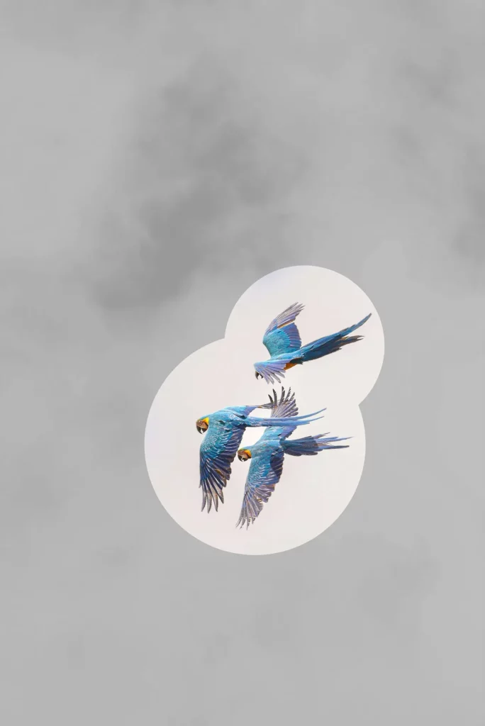 Création de sites internet au webdesign écologique et responsable